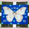 White Morpho Butterfly Fused Plate:
8"x10" fused plate with a mosaic of a white morpho butterfly in the center, and the border strips of glass that has been stamped with a butterfly design. The butterfly is based on a photo of a white morpho in the book "One Hundred Butterflies" by Harold Feinstein.