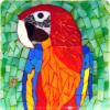 Macaw: 6"x6" fused glass mosaic.